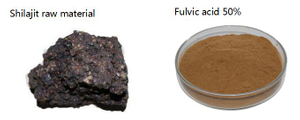 shilajit extract bulk - Lyphar.jpg